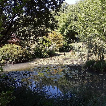 Le Chalet De La Grenouille Verte Tursac المظهر الخارجي الصورة