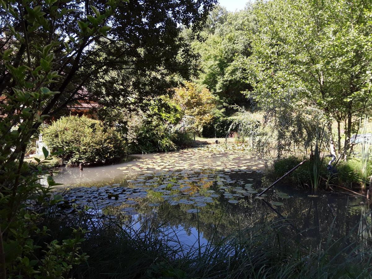 Le Chalet De La Grenouille Verte Tursac المظهر الخارجي الصورة
